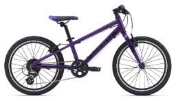Велосипед GIANT ARX 20 Purple (2021)