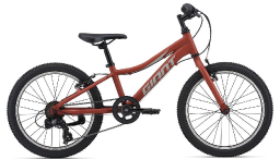 Велосипед GIANT XtC Jr 20 Lite Red Clay (2021)