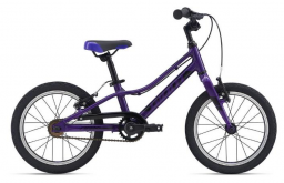 Велосипед GIANT ARX 16 F/W Purple (2021)