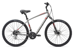 Велосипед GIANT Cypress DX Dark Silver (2021)