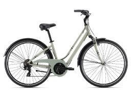 Велосипед LIV Flourish FS 3 Desert Sage (2021)